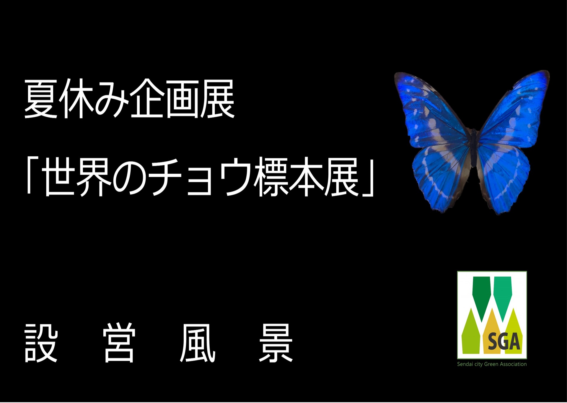 七北田公園都市緑化ホール 世界のチョウ標本展 設営風景 Youtube 公益財団法人仙台市公園緑地協会