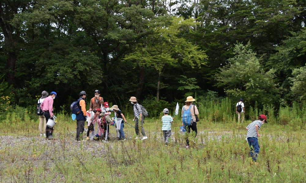 9 13 日 青葉の森緑地 秋の虫あそび 小学生編 公益財団法人仙台市公園緑地協会