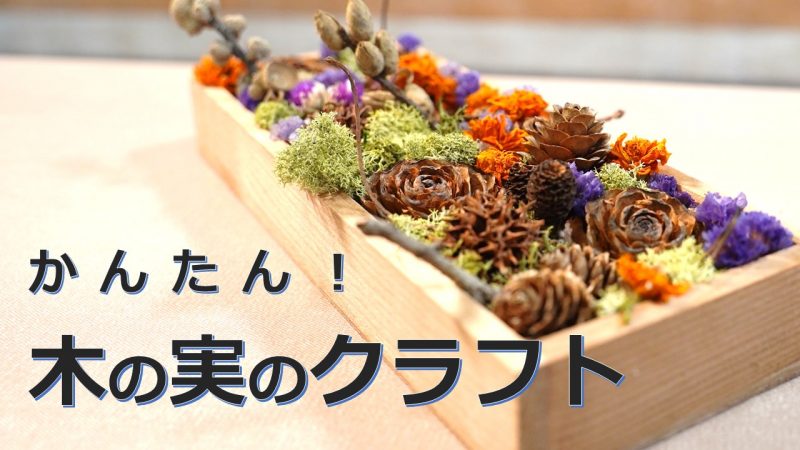 かんたん!木の実のクラフト