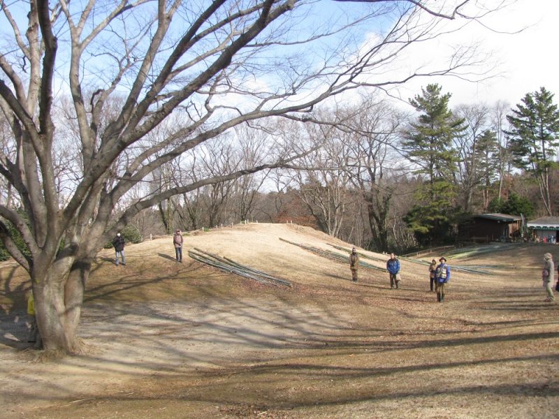 開園観察会「早春の野草園を歩こう」