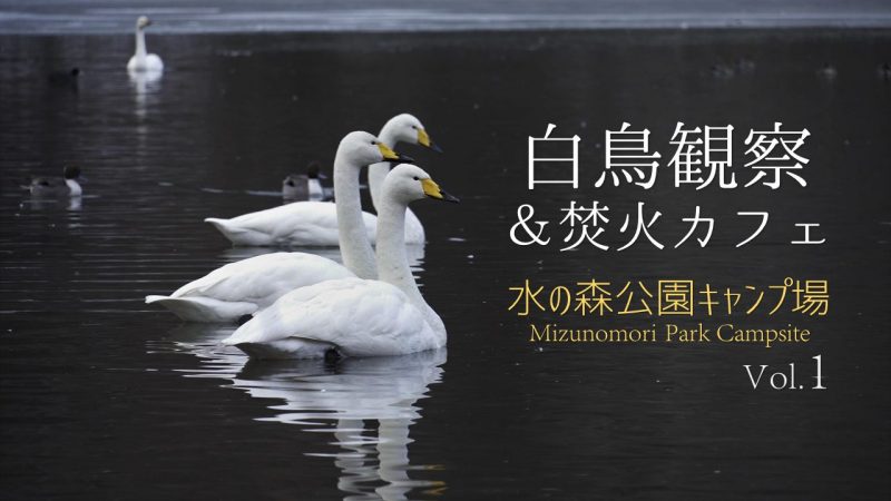 白鳥観察&焚火カフェVol.1
