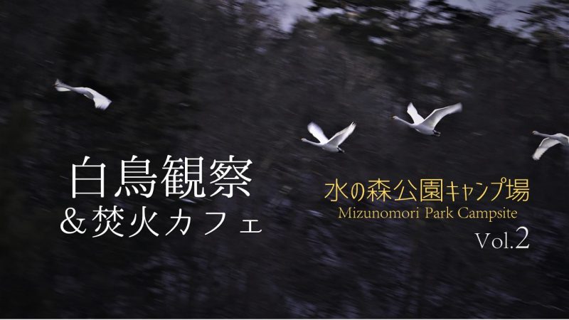 白鳥観察&焚火カフェVol.2