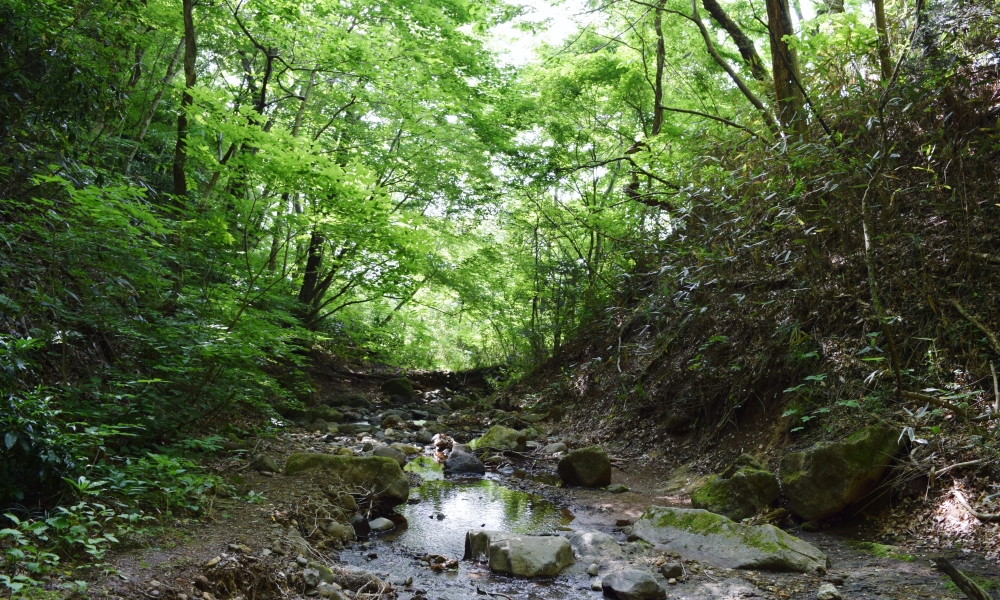 青葉の森歴史発見(西方面)