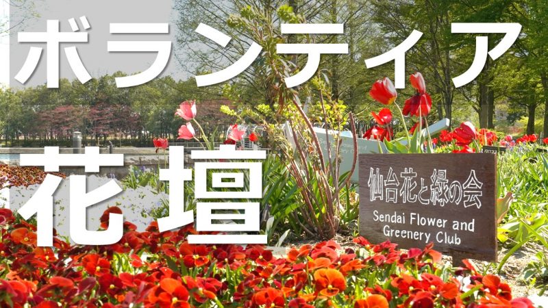 七北田公園ボランティア花壇の紹介