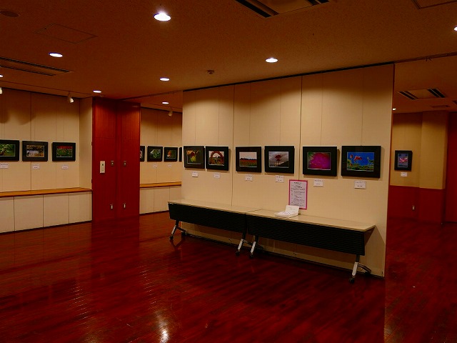 写真展「四季の花々」