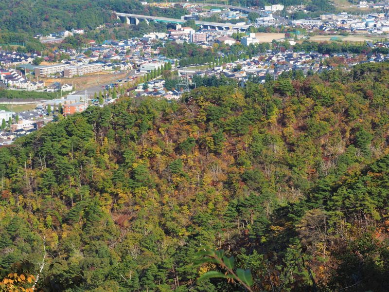 晩秋の蕃山を歩こう