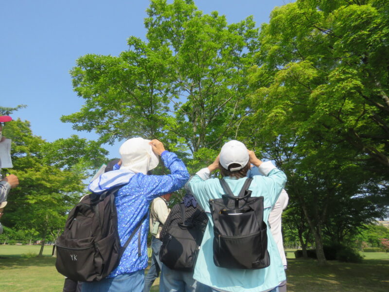 5/31（土）都市緑化ホール　「七北田公園で野鳥を探そう」