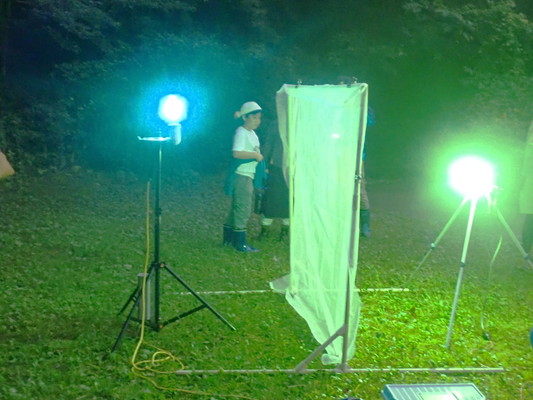 7/26（土）太白山自然観察の森　夜の昆虫観察　ライトトラップ観察会