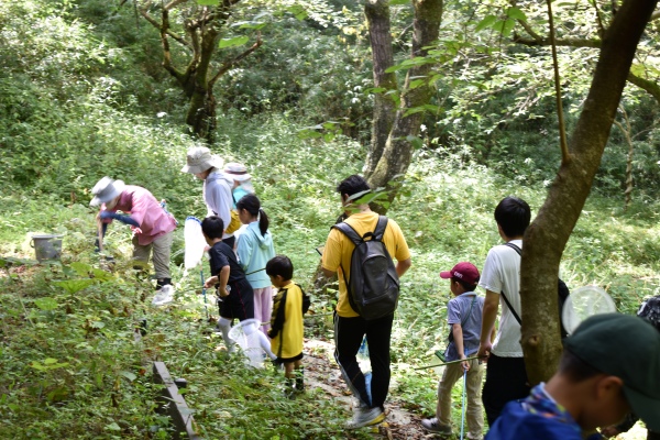 9/14（日）青葉の森緑地　親子で虫あそび（小学生編）