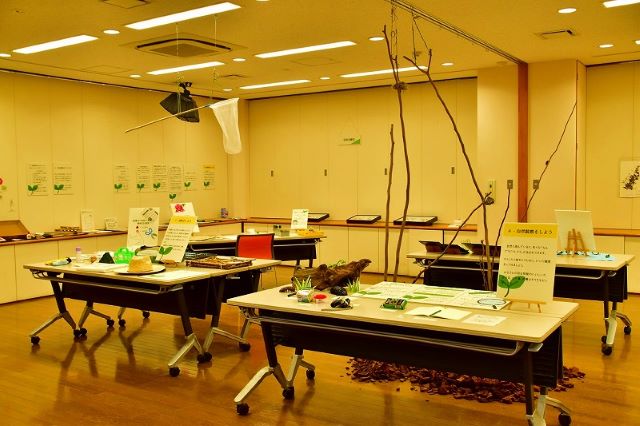 8月7日（木）～8月24日（日）野草園　自然観察と標本展