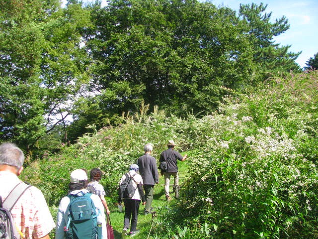 毎週土曜日　野草園　９月の園内ガイド