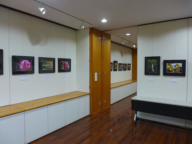 10/15（水）～10/29（水）野草園　写真展　「四季の花々」