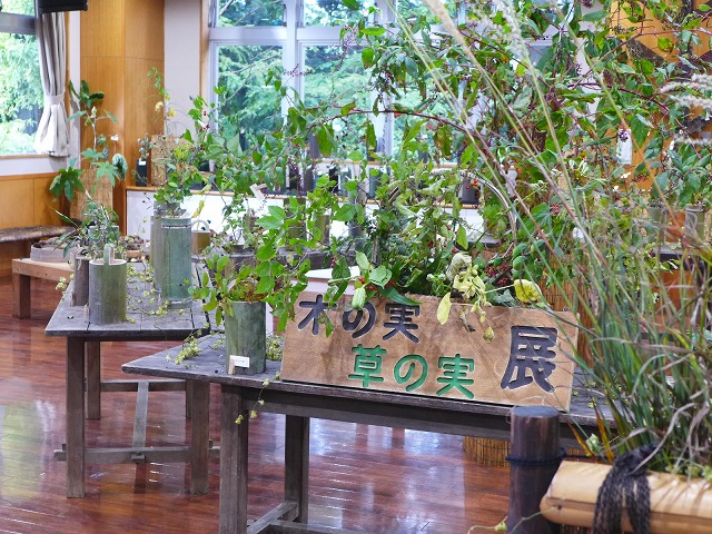 10/3（金）～10/13（月・祝）野草園　木の実・草の実展