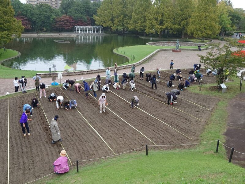 10/11（土）　都市緑化ホール　市民園芸講座　「アイスガーデンにネモフィラをまこう」