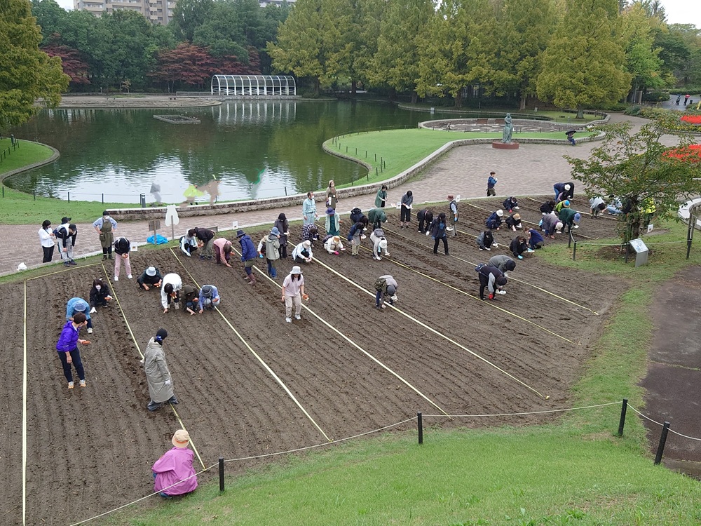 10/11（土）　都市緑化ホール　市民園芸講座　「アイスガーデンにネモフィラをまこう」