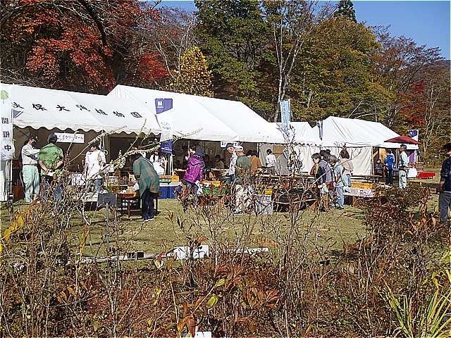 11/３（月・祝）秋保大滝植物園まつり