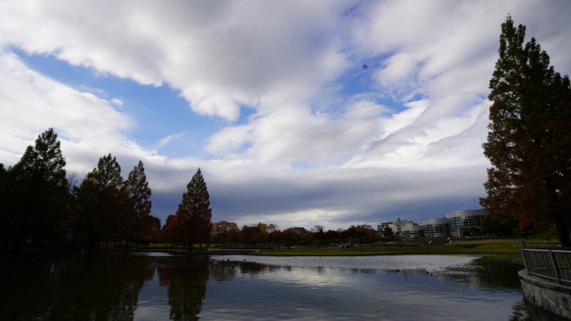 「ドラゴンクエストウォーキング＜東北＞」開催に伴う都市緑化ホールの利用制限について（お知らせ）