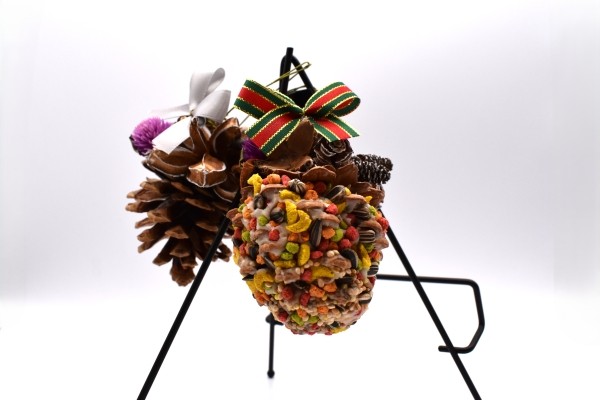 1/18(土)　野鳥を呼ぼう！かわいいバードケーキ作り