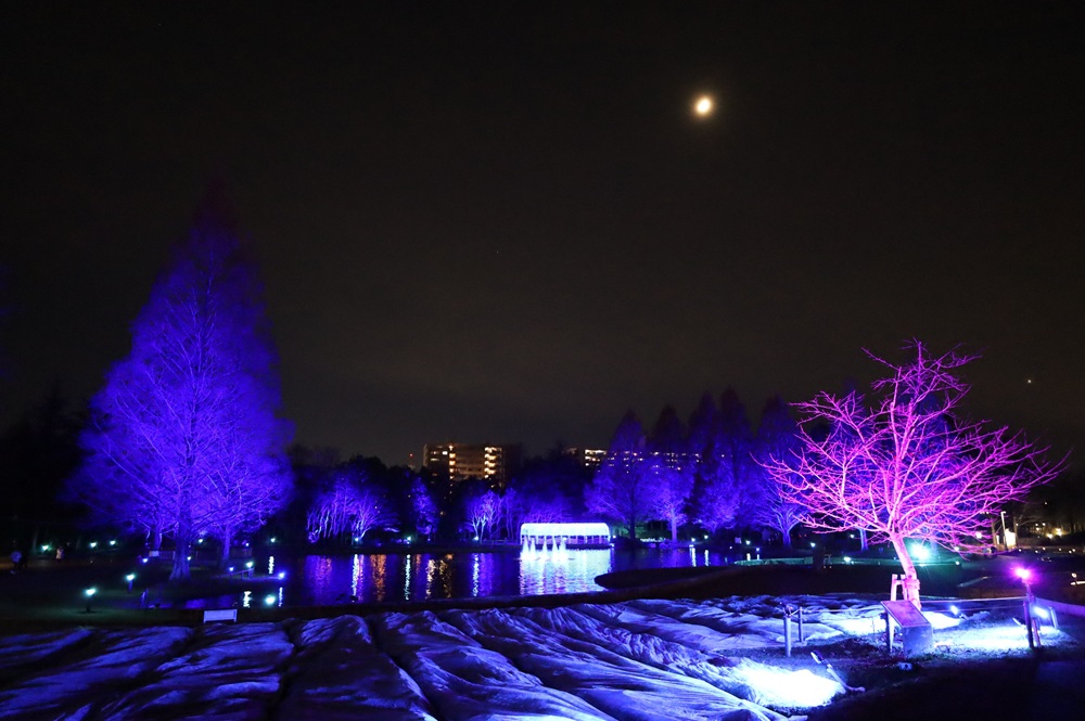 12/6（土）～25（木）　「イルミネーション＆キャンドルナイトin Nanakita Park 2025」