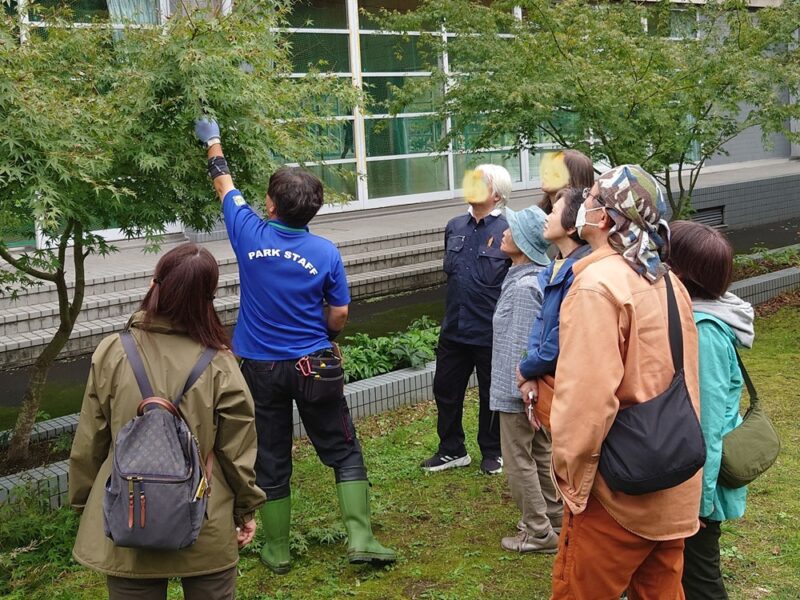 11/22（土）　都市緑化ホール　市民園芸講座　「秋からの庭木の剪定と春の準備」