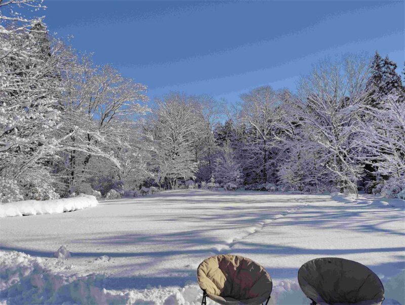 1/17（土）秋保大滝植物園冬季開園