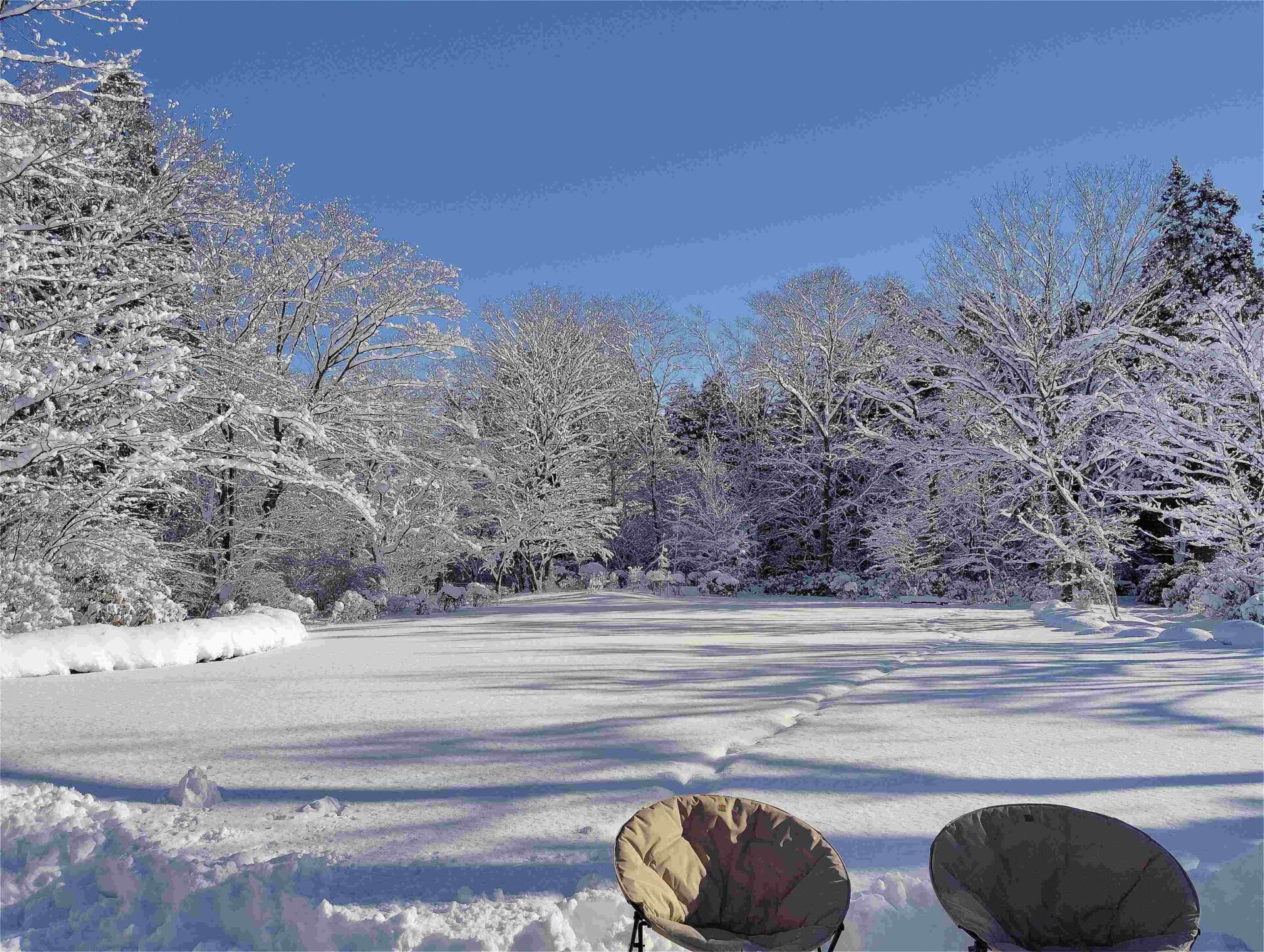 1/17（土）秋保大滝植物園冬季開園