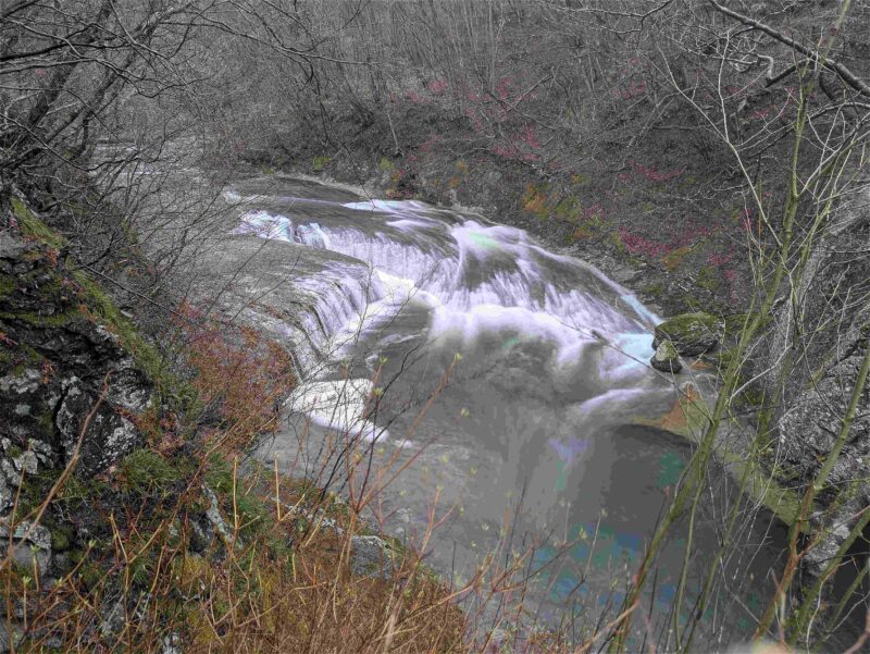 令和8年3月14日（土）秋保大滝植物園　冬季特別開園