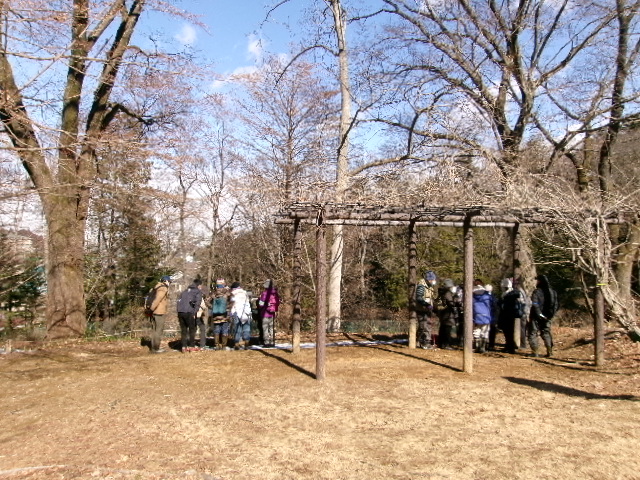 令和8年 2/11（水・祝）野草園　早春の自然ウォッチング