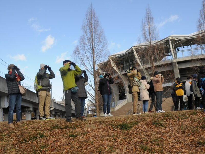 1/24（土）都市緑化ホール　「冬の七北田公園で野鳥を探そう」