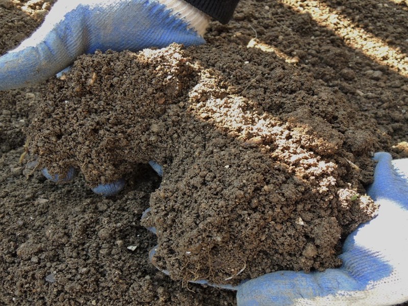 12/20（土）都市緑化ホール　市民園芸講座　＜家庭菜園シリーズ＞「春に向けての土づくり」