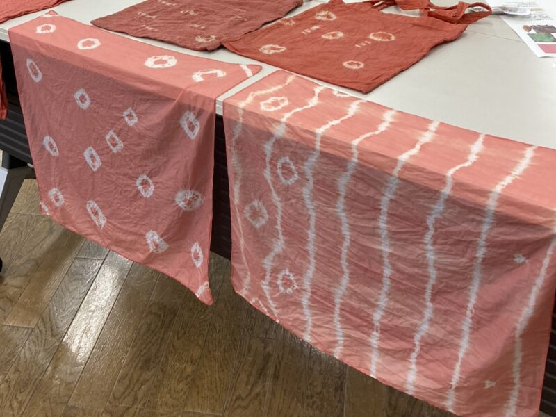 2/21（土）野草園　草木染め体験～茜染め～