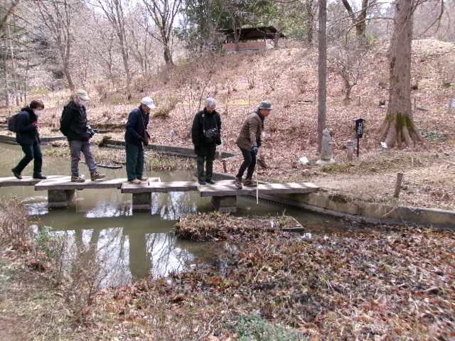3/20(金・祝) 野草園 開園観察会「早春の野草園を歩こう」