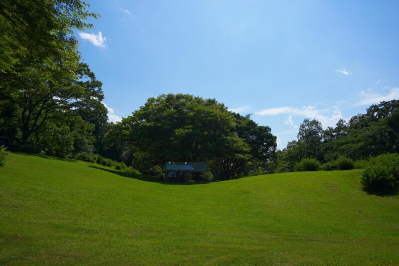 3/20(金・祝)野草園 「開園のお知らせ」