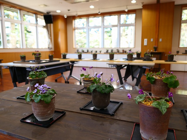 3/14（土）～ 3/15（日）野草園　「雪割草と植物の絵の展示会」