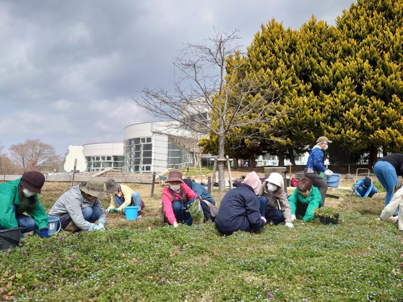 2/25（水）、3/12（木）都市緑化ホール　～ナナキタ player1 project～　「アイスガーデンで一緒に草取りしませんか？」
