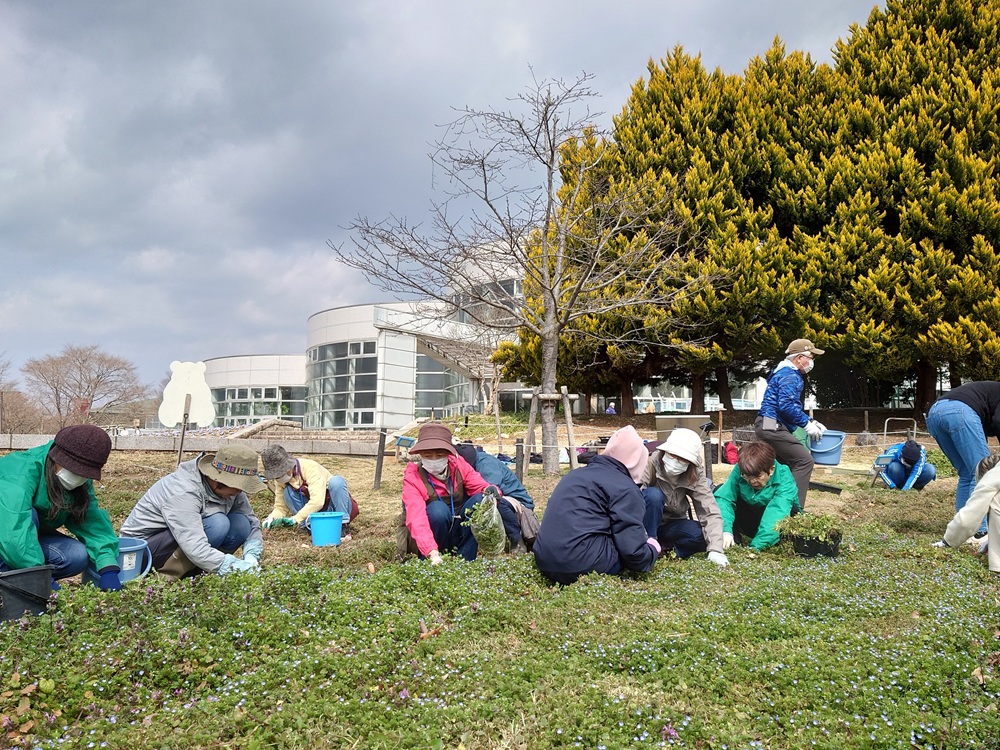 2/25（水）、3/12（木）都市緑化ホール　～ナナキタ player1 project～　「アイスガーデンで一緒に草取りしませんか？」