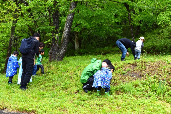5/9（土）虫めっけ（幼児編）　青葉の森緑地