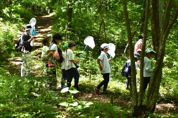5/17（日）虫めっけ（小学生編）　青葉の森緑地