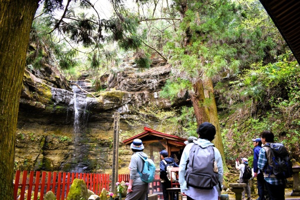 4/18（土）地下鉄で森へ行こう－ロングウォーク　青葉の森緑地