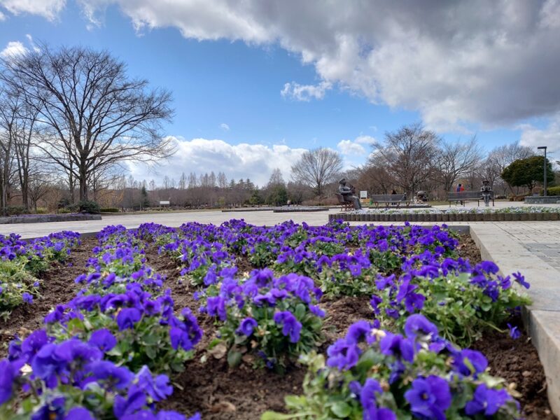 3/22（日）都市緑化ホール　市民園芸講座「春のガイドウォーク」