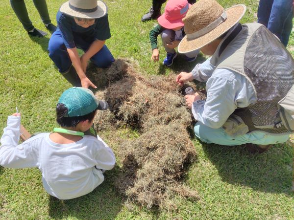 令和8年7月27日（月）昆虫ふれあい教室