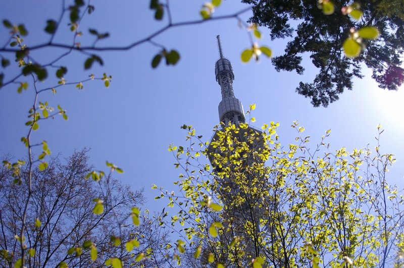5月4日(月・祝)みどりの日 「無料開園日」
