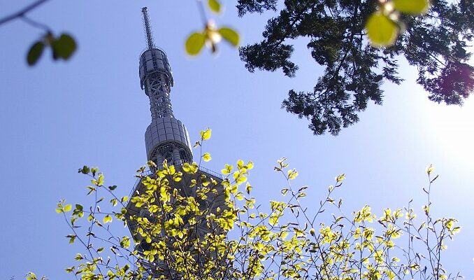 5月4日(月・祝）みどりの日 「無料開園日」