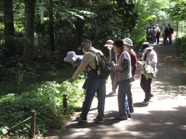 5月9日(土)「新緑の中の花めぐり」