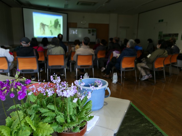 4/29（水・祝）　　　　　　　　　　　　　　　　　　　野草園 「さくらそうの育て方講習会」