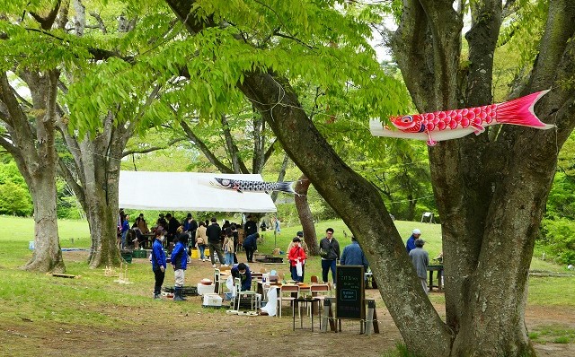5月5日(火・祝)「野草園こどもの日」