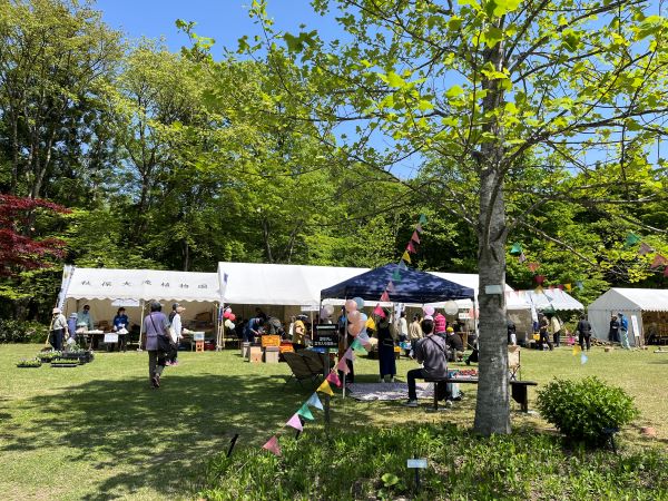 5/4(月・祝)秋保大滝植物園まつり