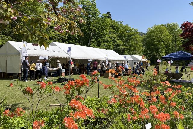 植物園まつりのテント