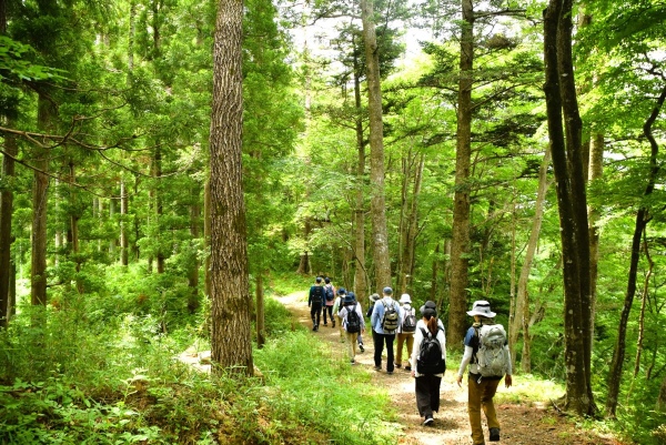 6/20（土）梅雨の鈎取山トレッキング