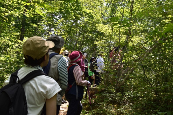 6/6（土）梅雨の森ハイク　青葉の森緑地
